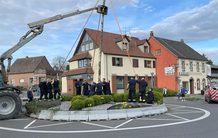 Maibaum wird im Kreisverkehr Odenthal Blecher aufgestellt