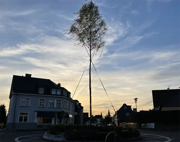 Maibaum 2023 im Kreisverkehr Odenthal Blecher