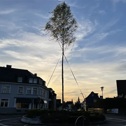 Maibaum